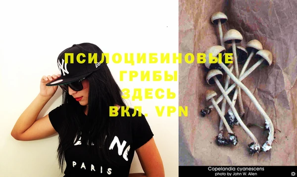 МДПВ Верхний Тагил
